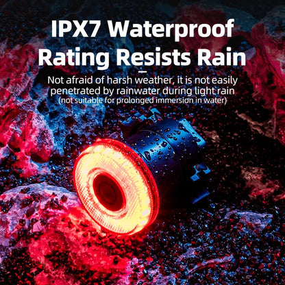ROCKBROS Smart Bike Tail Light – IPX7 Waterproof Rechargeable Rear Light with Type-C Charging