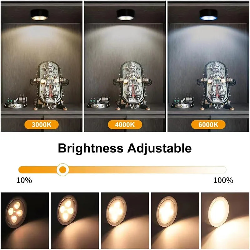 LED Picture Light – Dimmable Art & Painting Light with Remote Control